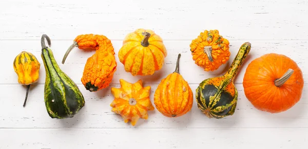 Various Colorful Squashes Pumpkins Autumn Vegetable Harvest Top View Flat — Stock Photo, Image