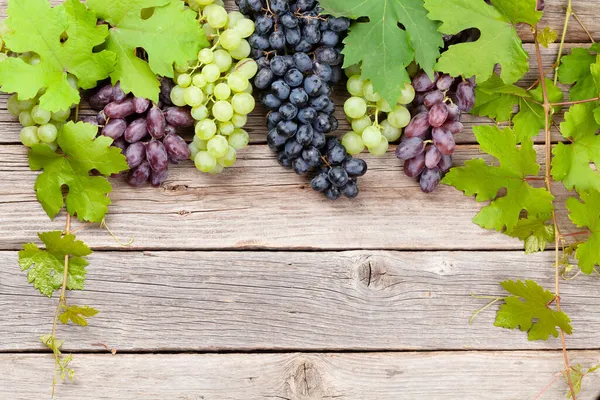Różne Kolorowe Winogrona Drewnianym Stole Widok Góry Płaski Leżał Miejsca — Zdjęcie stockowe