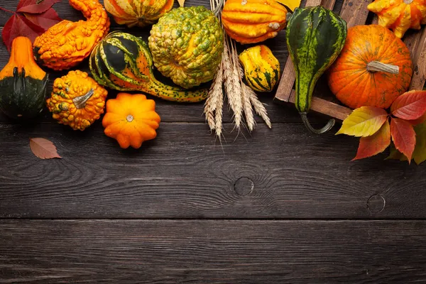 Varias Calabazas Calabazas Colores Cosecha Verduras Otoño Vista Superior Plano —  Fotos de Stock