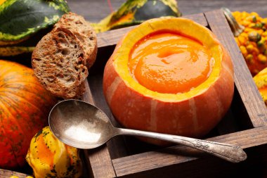 Balkabağı kremalı çorba ve çeşitli renkli kabaklar ve balkabakları. Sonbahar sebze hasadı