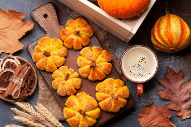 Ev yapımı balkabağı kek ve çeşitli balkabakları gibi görünür. Üst görünüm düzlüğü kopyalama alanı ile yatıyordu