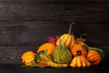 Çeşitli renkte kabaklar ve balkabakları. Sonbahar sebze hasadı. Kopyalama alanı ile