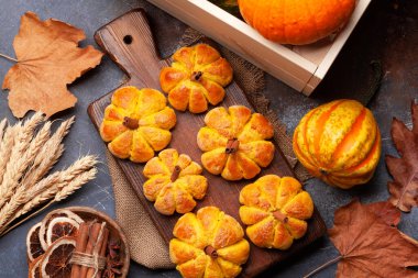 Ev yapımı balkabağı kek ve çeşitli balkabakları gibi görünür. Üst görünüm düzlüğü kopyalama alanı ile yatıyordu