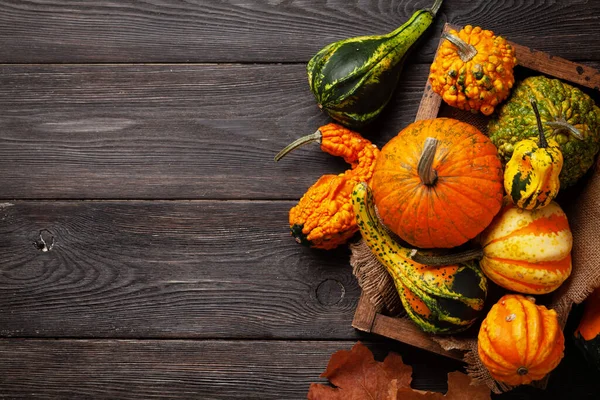 Verschiedene Bunte Kürbisse Und Kürbisse Gemüseernte Herbst Mit Kopierraum Draufsicht — Stockfoto