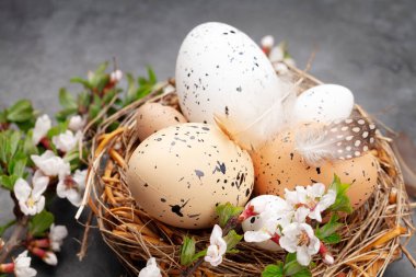 Paskalya yumurtaları ve kiraz çiçekleri. Bahar tebrik kartı.