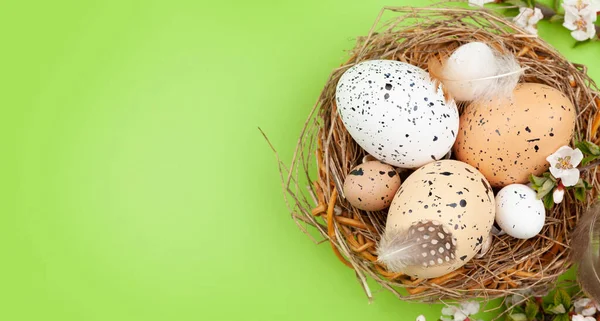 Ovos Páscoa Ninho Cereja Florescem Sobre Verde Primavera Cartão Saudação — Fotografia de Stock