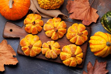 Ev yapımı balkabağı kek ve çeşitli balkabakları gibi görünür. Üst görünüm düzlüğü