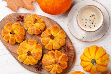 Ev yapımı balkabağı kek ve çeşitli balkabakları gibi görünür. Üst görünüm düzlüğü