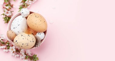 Paskalya yumurtaları ve kiraz çiçekleri. Kopya alanı olan bahar tebrik kartı. Üst görünüm düzlüğü