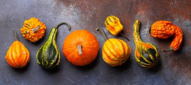 Çeşitli renkte kabaklar ve balkabakları. Sonbahar sebze hasadı. Üst görünüm düzlüğü