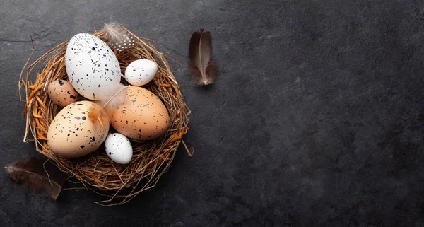 复活节彩蛋在窝里 鸡蛋和鹌鹑蛋带有复制空间的春季贺卡 顶视图平铺 — 图库照片