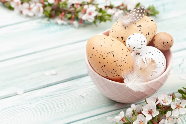 Πασχαλινά Αυγά Και Άνθη Κερασιάς Ανοιξιάτικη Ευχετήρια Κάρτα Αντίγραφο — Φωτογραφία Αρχείου