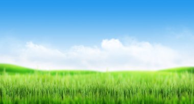 Yeşil çimen tarlası ve parlak güneş manzaralı mavi gökyüzü.