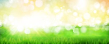 Yeşil çim tarlası yaz manzarası. Bulanık bokeh arkaplanı