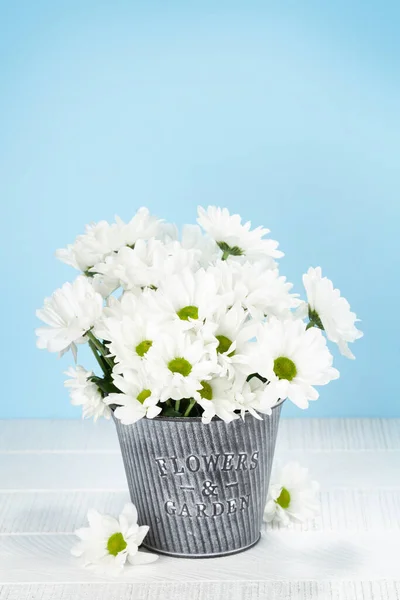 Daisy Flowers Bouquet Bunch Chamomile Flowers Copy Space — Stock Photo, Image
