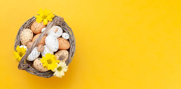 Pasen Wenskaart Met Paaseieren Bloemen Bovenaanzicht Plat Lag Met Kopieerruimte — Stockfoto