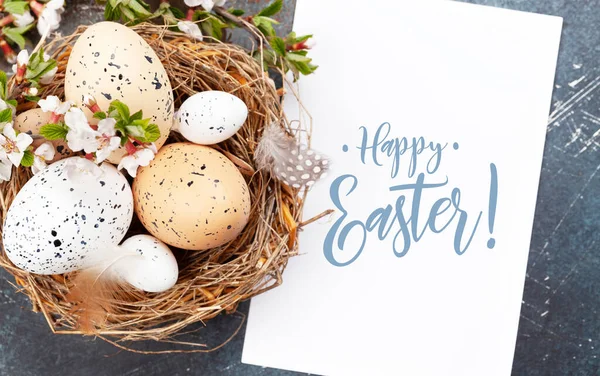 复活节彩蛋在窝里 鸡蛋和鹌鹑蛋带有复制空间的春季贺卡 顶视图平铺 — 图库照片