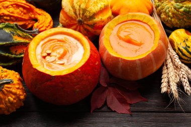 Balkabağı kremalı çorba ve çeşitli renkli kabaklar ve balkabakları. Sonbahar sebze hasadı