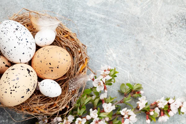 Paaseieren Nest Kippen Kwarteleieren Voorjaarskaart Met Kopieerruimte Bovenaanzicht Vlak Lay — Stockfoto
