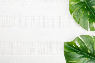 Beyaz ahşap arka planda canavar yaprakları. Üst görünüm düzlüğü kopyalama alanı ile yatıyordu. Doğa zemin