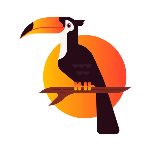 Toucan Vektör Illüstrasyonu Logo Fikri Telifsiz Stok Vektörler