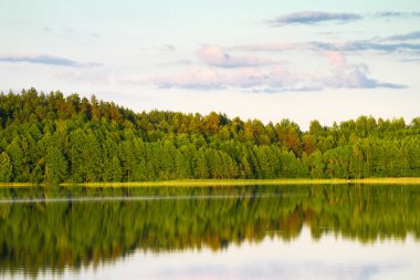 Yeşil ağaçların yansıması su ile güzel Göl Manzaralı