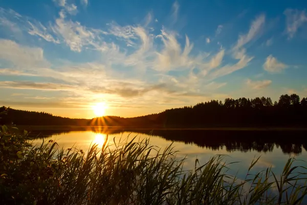 Прекрасний захід сонця над лісовим озером — стокове фото