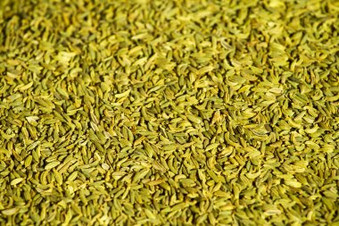 Rezene tohumu (foeniculum vulgare arka kapatmak)