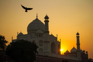 Taj mahal yamuna Nehri kıyısında günbatımı manzarası