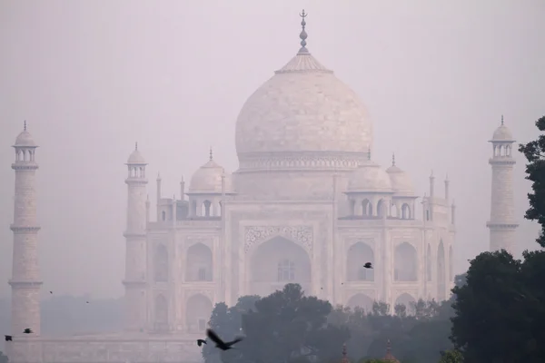 Taj mahal v ranní mlze — Stock fotografie