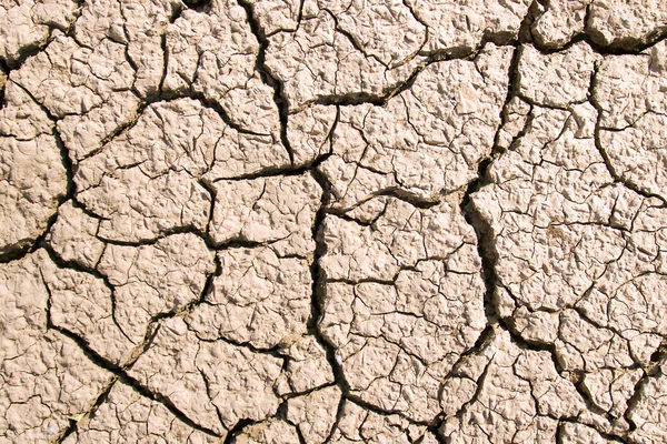 Tørr sprukket jordbakgrunn – stockfoto