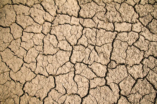 Fondo seco de tierra agrietada — Foto de Stock