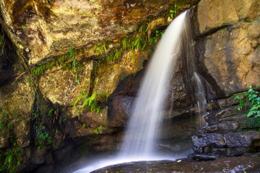 Yaz manzarası güzel bir küçük şelale yanında kodaikanal, tamil nadu, Hindistan