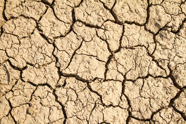 Fondo seco de tierra agrietada — Foto de Stock