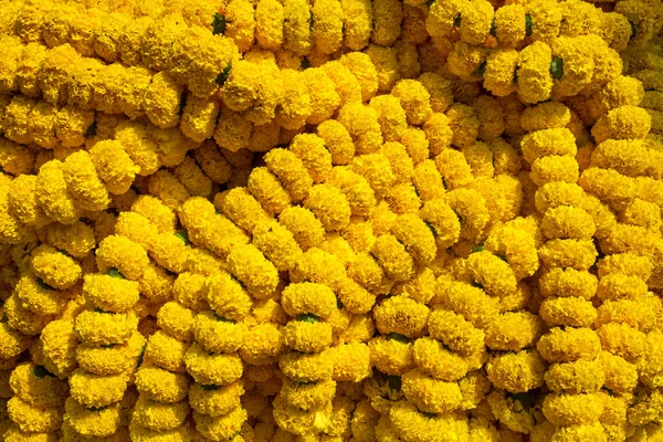 Marigold flores guirlanda fundo — Fotografia de Stock