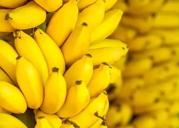 Ramo de plátanos maduros fondo — Foto de Stock