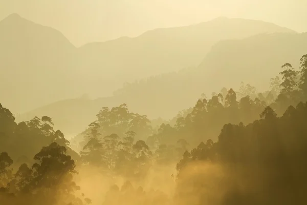 Mattina di sole sopra la foresta nebbiosa e colline — Foto Stock