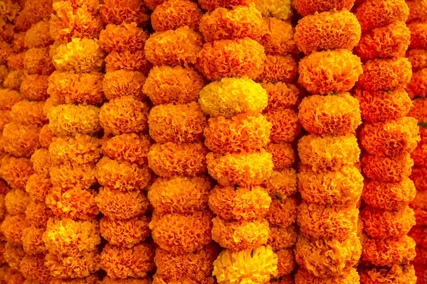 Marigold flores guirlanda fundo — Fotografia de Stock