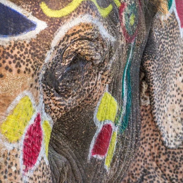 Målat elefanter öga närbild — Stockfoto