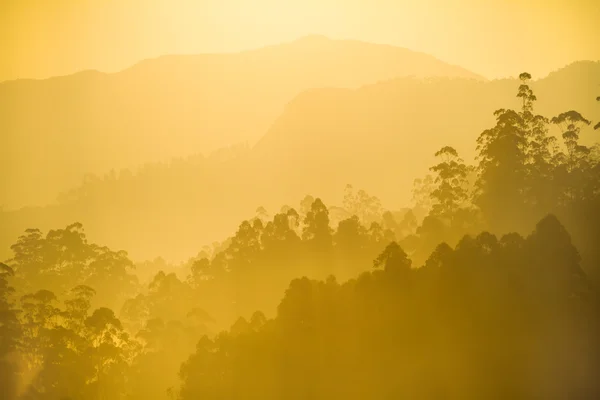 Mattina di sole sopra la foresta nebbiosa e colline — Foto Stock