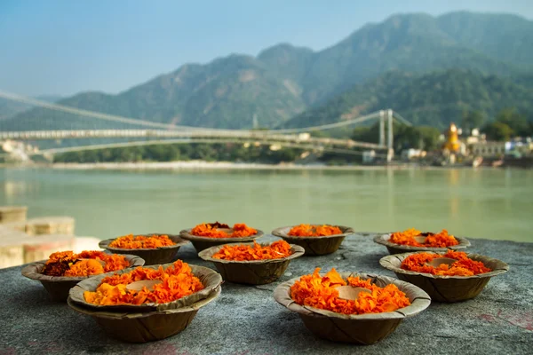 Puja blommor erbjuder vid ganges floden i rishikesh, — Stockfoto