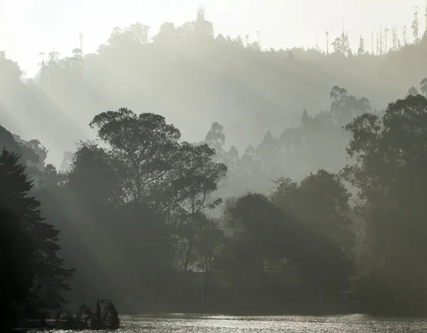 Vroeg in de ochtend op de mistige rivier- of meerwater — Stockfoto