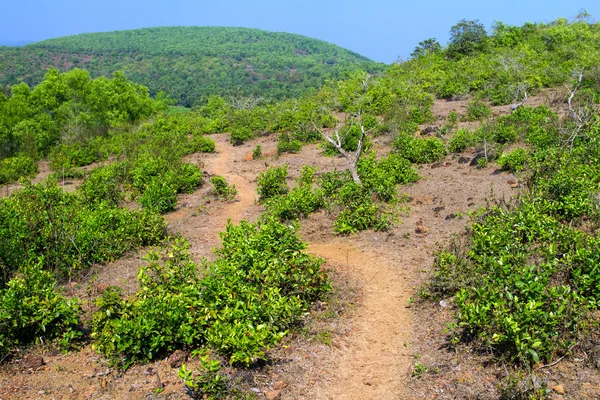 Yeşil kayalık tepenin üzerinden yol — Stok fotoğraf