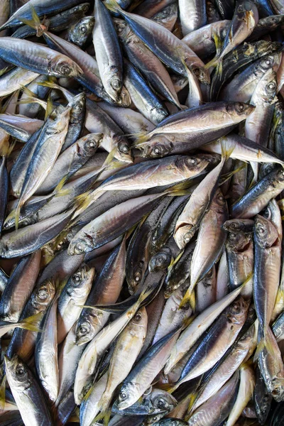Frischer kleiner Fischhintergrund auf dem Markt — Stockfoto