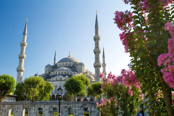 Die blaue Moschee (sultanahmet camii), Istanbul, Türkei — Stockfoto