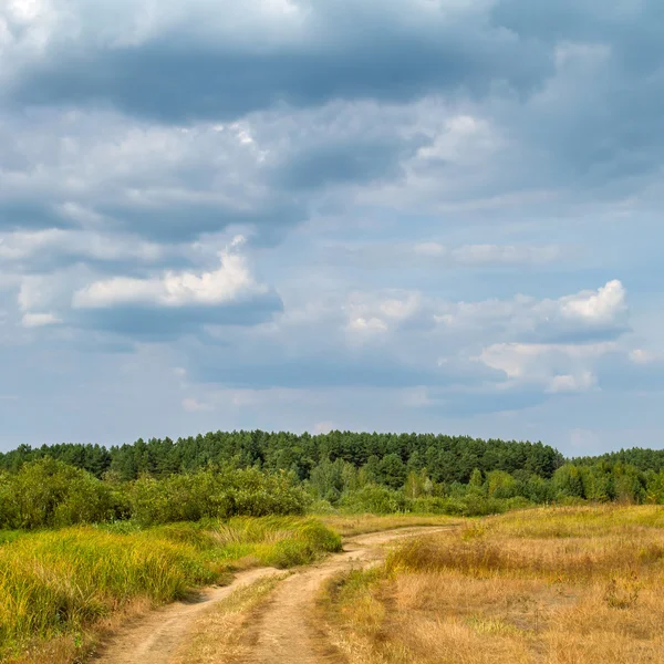 Сільський пейзаж з ґрунтовою дорогою між полями — стокове фото