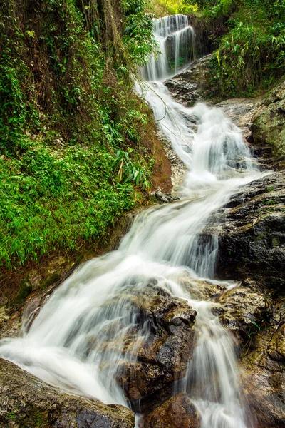 长时间曝光的图片，一个美丽的瀑布，在森林里 — 图库照片