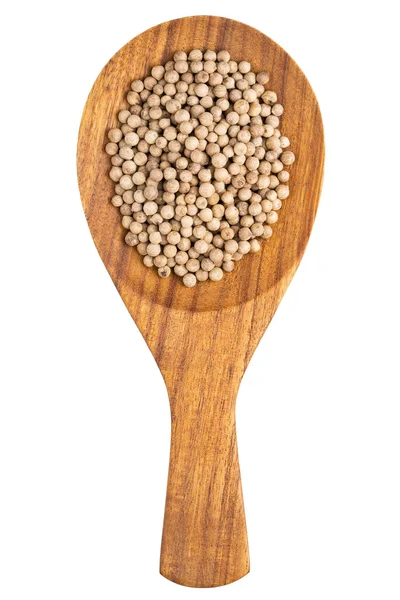 Білий перець (Пайпер-нігрум) перці в дерев'яній ложці — стокове фото
