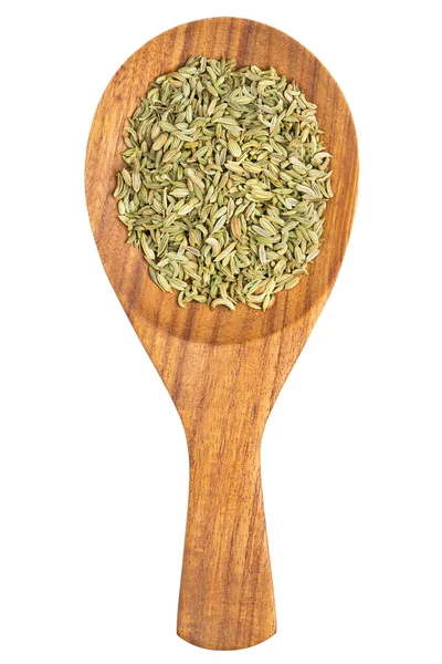 Fennel seeds (Foeniculum vulgare) in the wooden spoon — Stock Photo, Image