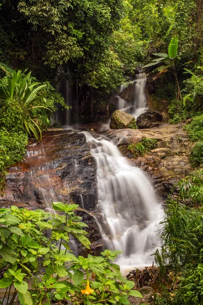 A imagem de longa exposição de uma bela cachoeira na floresta — Fotografia de Stock